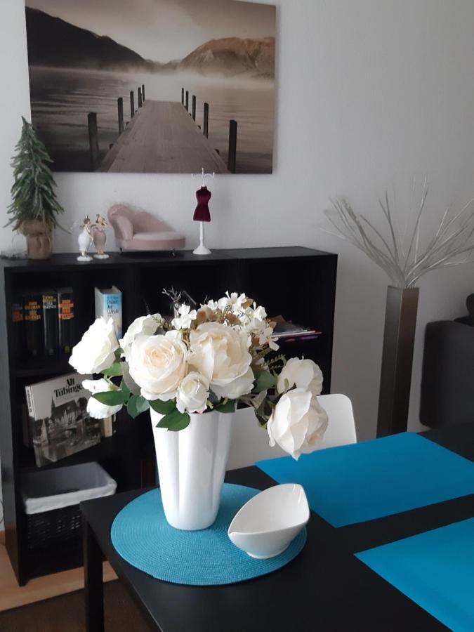 City Apartment Tubingen-Lustnau エクステリア 写真