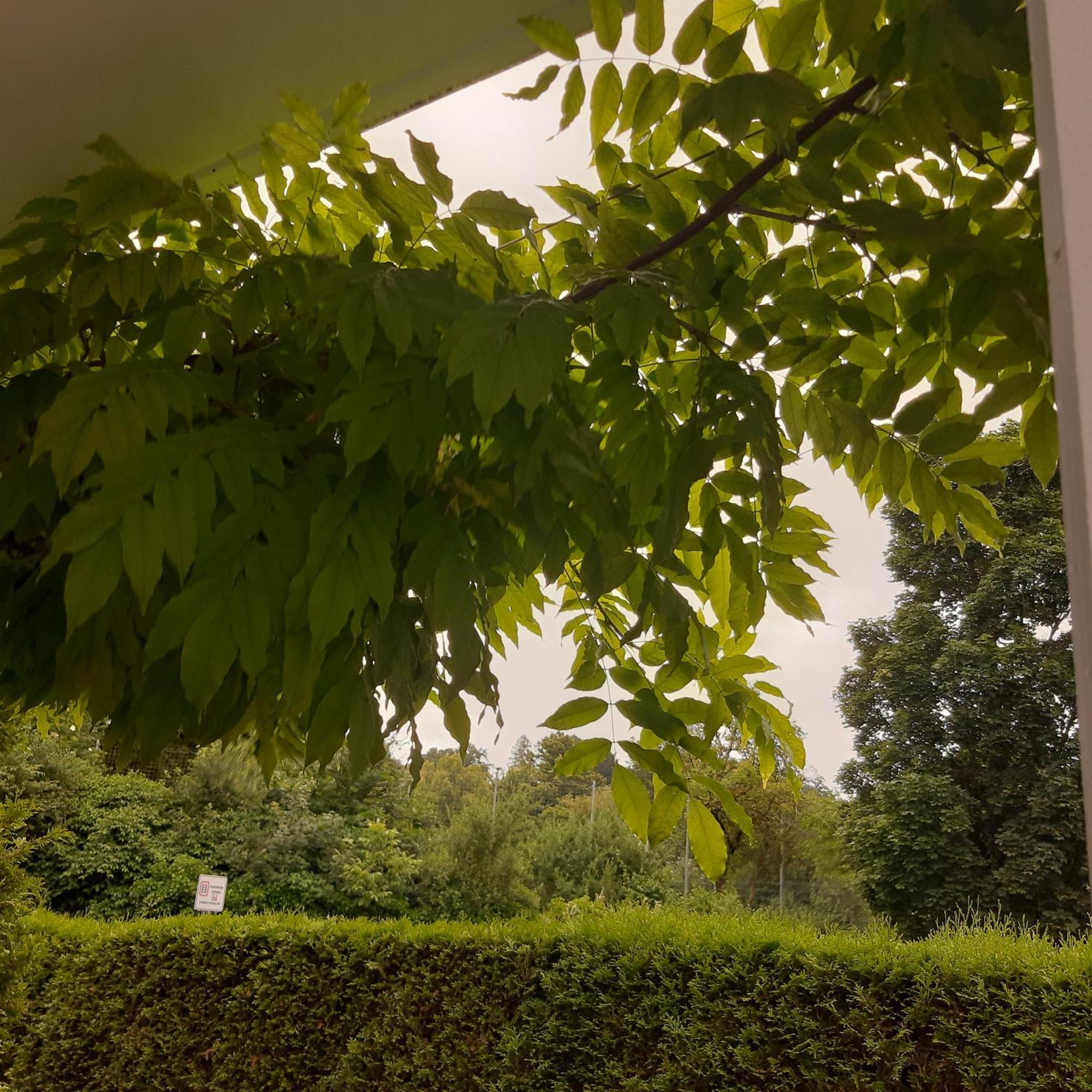 City Apartment Tuebingen-Lustnau エクステリア 写真