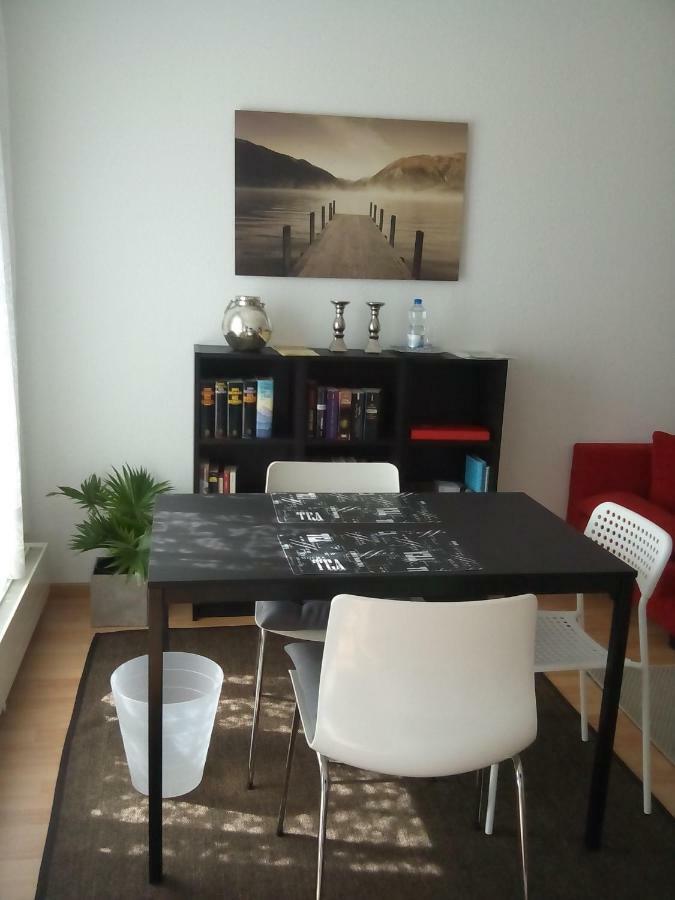 City Apartment Tuebingen-Lustnau エクステリア 写真